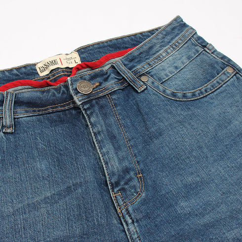 Generic Denim Shorts  ripped